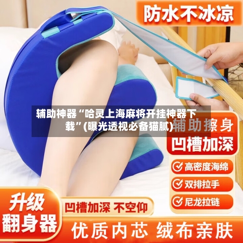辅助神器“哈灵上海麻将开挂神器下载”(曝光透视必备猫腻)-第2张图片