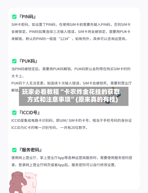 玩家必看教程“卡农炸金花挂的获取方式和注意事项”(原来真的有挂)-第1张图片