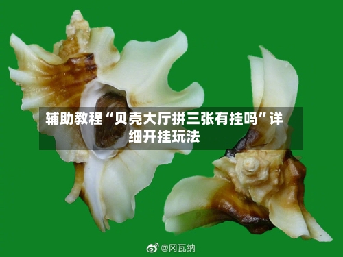 辅助教程“贝壳大厅拼三张有挂吗”详细开挂玩法-第1张图片