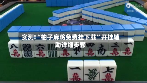 实测!“柚子麻将免费挂下载”开挂辅助详细步骤-第3张图片