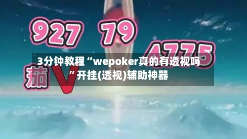 3分钟教程“wepoker真的有透视吗”开挂(透视)辅助神器-第2张图片