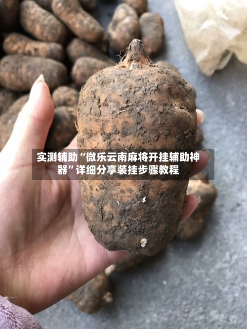 实测辅助“微乐云南麻将开挂辅助神器”详细分享装挂步骤教程-第1张图片