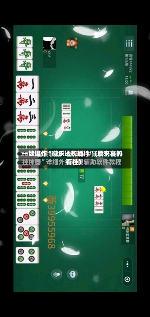 一键操作“微乐透视插件	”(原来真的有挂)-第1张图片