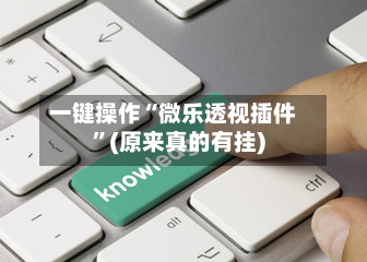 一键操作“微乐透视插件”(原来真的有挂)-第2张图片