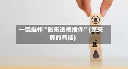 一键操作“微乐透视插件”(原来真的有挂)-第3张图片