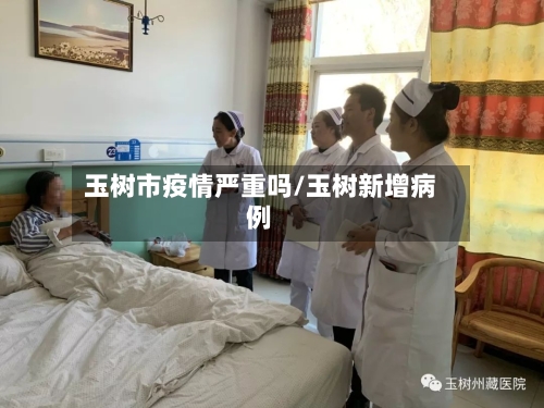 玉树市疫情严重吗/玉树新增病例-第1张图片