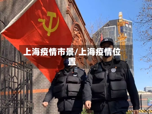 上海疫情市景/上海疫情位置-第1张图片