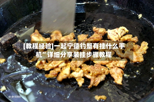 [教程经验]一起宁德钓蟹有挂什么手机”详细分享装挂步骤教程-第3张图片