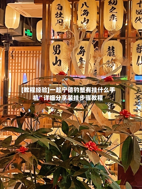 [教程经验]一起宁德钓蟹有挂什么手机”详细分享装挂步骤教程-第1张图片
