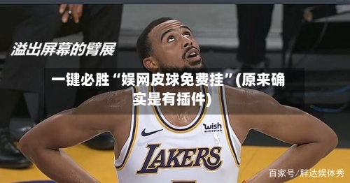 一键必胜“娱网皮球免费挂”(原来确实是有插件)-第2张图片