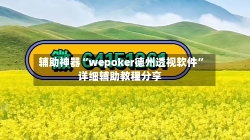 辅助神器“wepoker德州透视软件”详细辅助教程分享-第3张图片