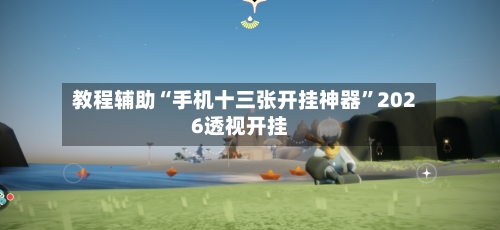 教程辅助“手机十三张开挂神器”2026透视开挂-第2张图片