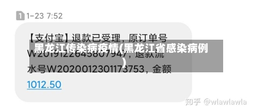 黑龙江传染病疫情(黑龙江省感染病例)-第1张图片
