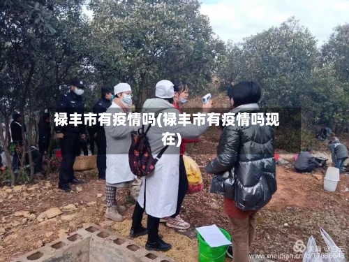 禄丰市有疫情吗(禄丰市有疫情吗现在)-第2张图片