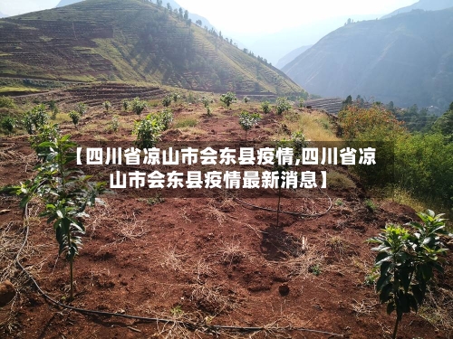 【四川省凉山市会东县疫情,四川省凉山市会东县疫情最新消息】-第3张图片