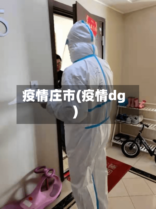 疫情庄市(疫情dg)-第2张图片