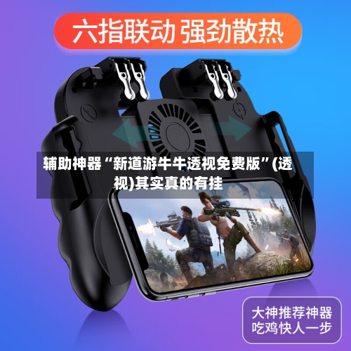 辅助神器“新道游牛牛透视免费版”(透视)其实真的有挂-第1张图片