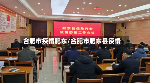 合肥市疫情肥东/合肥市肥东县疫情-第1张图片