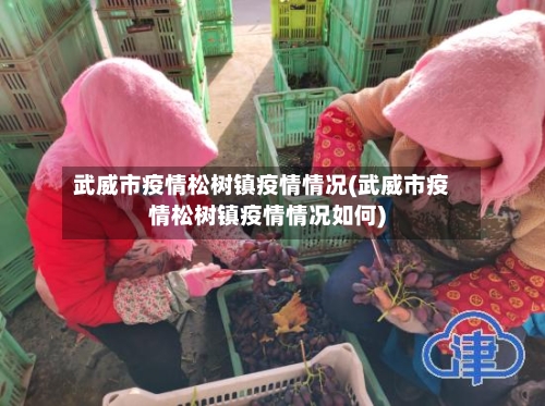 武威市疫情松树镇疫情情况(武威市疫情松树镇疫情情况如何)-第1张图片