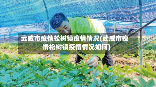 武威市疫情松树镇疫情情况(武威市疫情松树镇疫情情况如何)-第2张图片