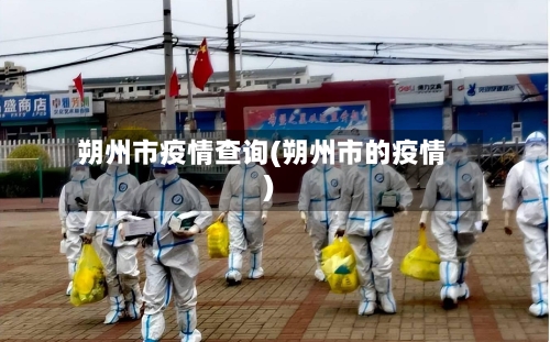 朔州市疫情查询(朔州市的疫情)-第2张图片