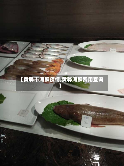 【黄骅市海鲜疫情,黄骅海鲜费用查询】-第3张图片