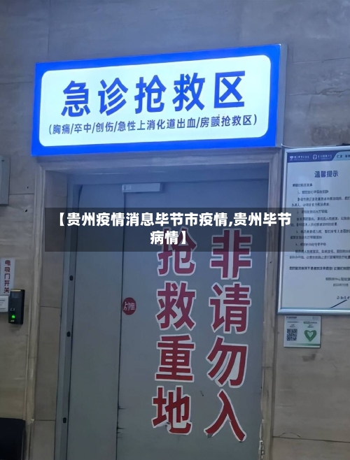 【贵州疫情消息毕节市疫情,贵州毕节病情】-第1张图片