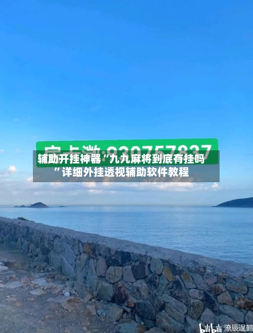 辅助开挂神器“九九麻将到底有挂吗	”详细外挂透视辅助软件教程-第2张图片