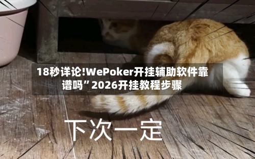 18秒详论!WePoker开挂辅助软件靠谱吗”2026开挂教程步骤-第2张图片