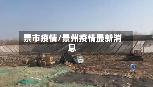 景市疫情/景州疫情最新消息-第3张图片