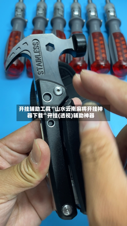 开挂辅助工具“山水云南麻将开挂神器下载”开挂(透视)辅助神器-第2张图片