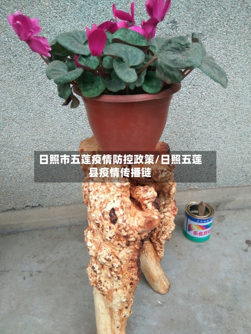 日照市五莲疫情防控政策/日照五莲县疫情传播链-第1张图片