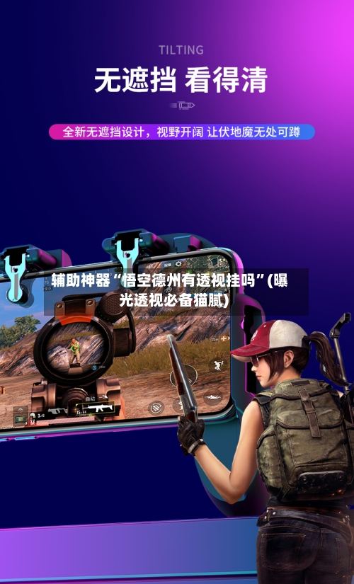 辅助神器“悟空德州有透视挂吗”(曝光透视必备猫腻)-第3张图片