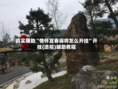 真实辅助“情怀宜春麻将怎么开挂”开挂(透视)辅助教程-第2张图片