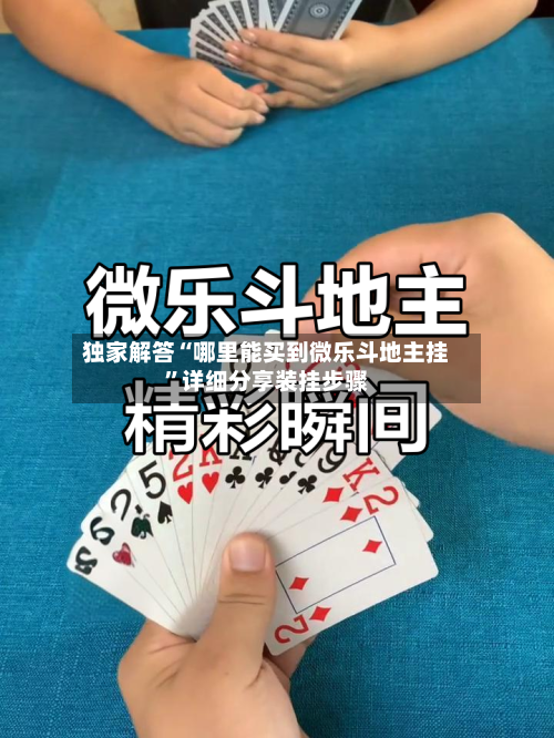 独家解答“哪里能买到微乐斗地主挂”详细分享装挂步骤-第2张图片