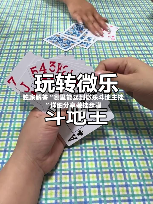 独家解答“哪里能买到微乐斗地主挂	”详细分享装挂步骤-第1张图片
