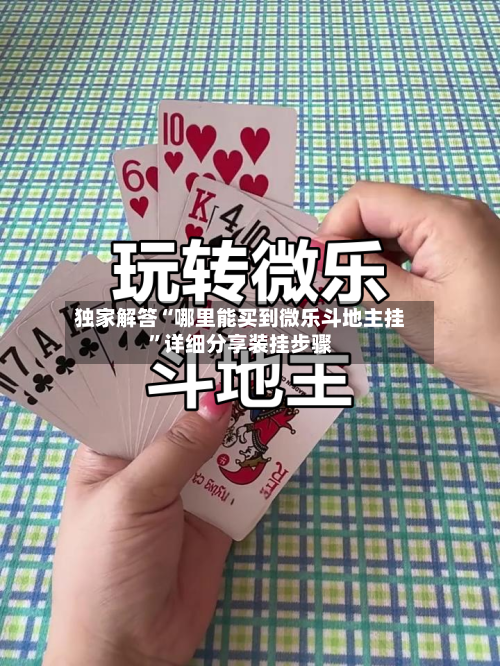 独家解答“哪里能买到微乐斗地主挂”详细分享装挂步骤-第3张图片