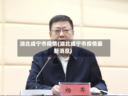 湖北咸宁市疫情(湖北咸宁市疫情最新消息)-第1张图片