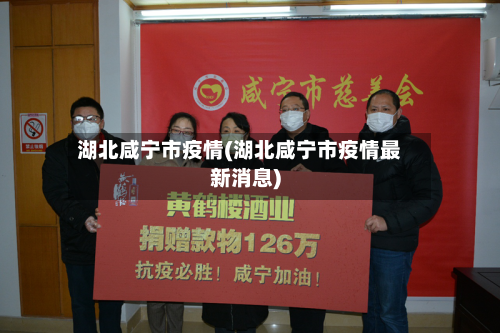 湖北咸宁市疫情(湖北咸宁市疫情最新消息)-第2张图片