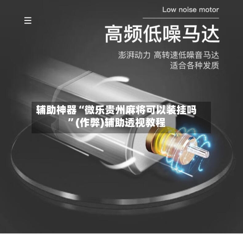 辅助神器“微乐贵州麻将可以装挂吗”(作弊)辅助透视教程-第3张图片
