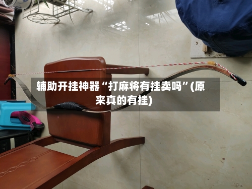 辅助开挂神器“打麻将有挂卖吗”(原来真的有挂)-第1张图片