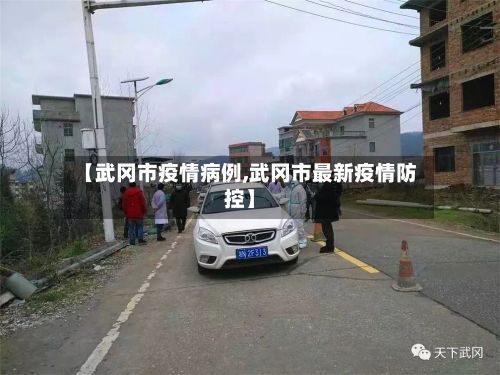 【武冈市疫情病例,武冈市最新疫情防控】-第3张图片