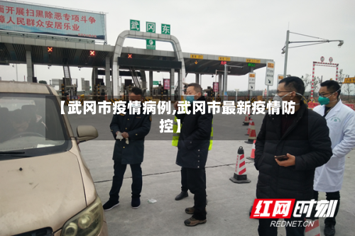 【武冈市疫情病例,武冈市最新疫情防控】-第2张图片