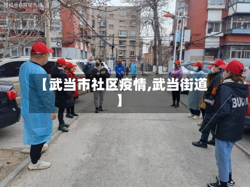 【武当市社区疫情,武当街道】-第2张图片