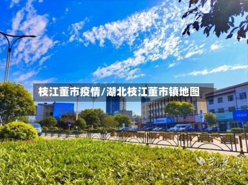 枝江董市疫情/湖北枝江董市镇地图-第1张图片