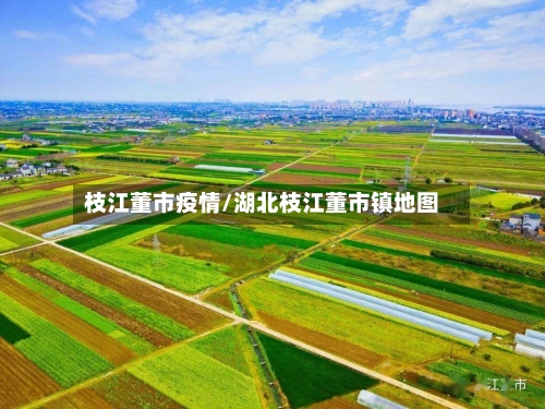 枝江董市疫情/湖北枝江董市镇地图-第2张图片