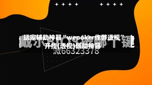 玩家辅助神器“wepoker作弊透视	”开挂(透视)辅助神器-第1张图片