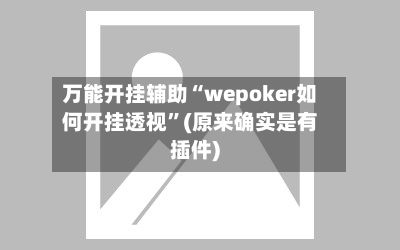 万能开挂辅助“wepoker如何开挂透视”(原来确实是有插件)-第2张图片