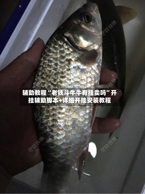 辅助教程“老铁斗牛牛有挂卖吗”开挂辅助脚本+详细开挂安装教程-第1张图片