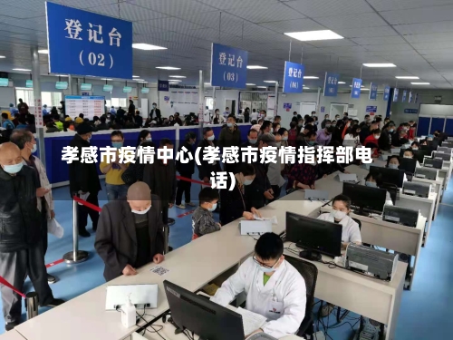 孝感市疫情中心(孝感市疫情指挥部电话)-第2张图片